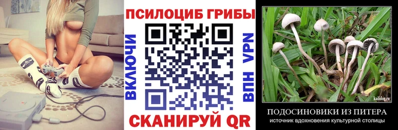 цены наркотик  Кувандык  MEGA зеркало  Псилоцибиновые грибы MAGIC MUSHROOMS 